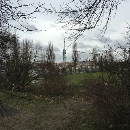 Apartmán Kalisnicka *